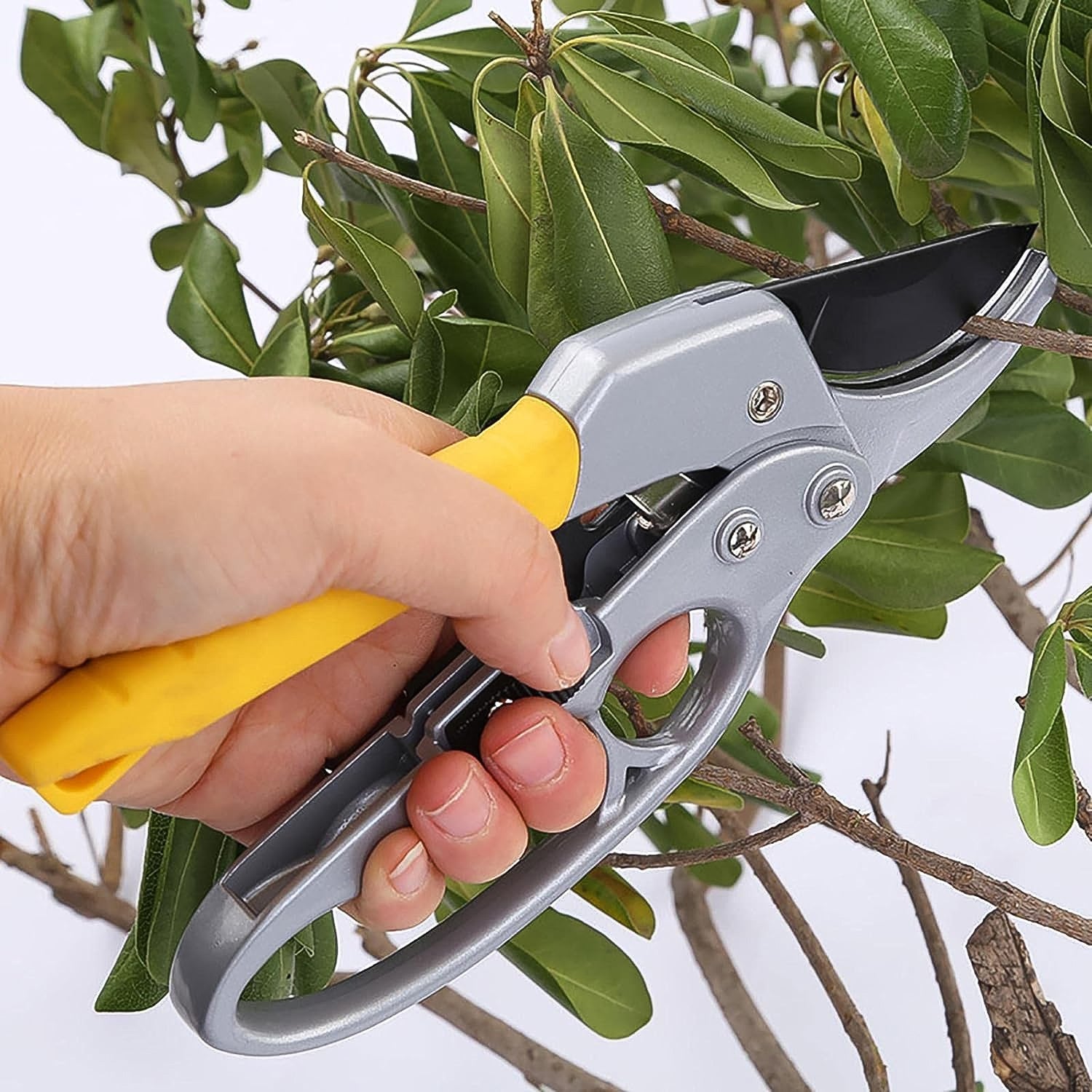 ProCut Pruners ProCut Pruners